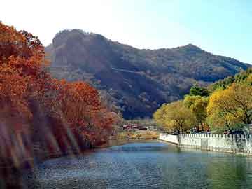 新澳天天开奖资料大全旅游团，综合布线施耐德